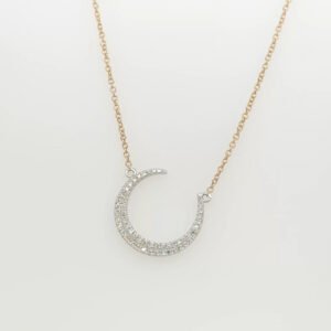 14K Pavé Diamond Crescent Moon Suspended Necklace